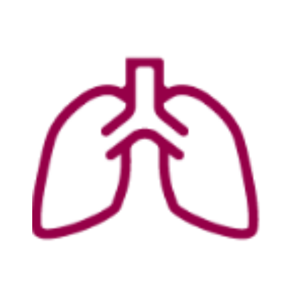 Lung