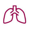 Lung